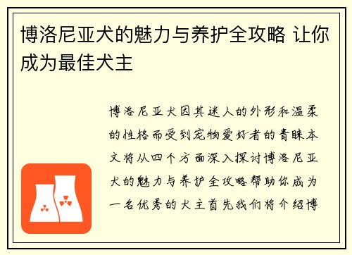 博洛尼亚犬的魅力与养护全攻略 让你成为最佳犬主